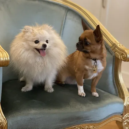 Palazzo Monga Boutique